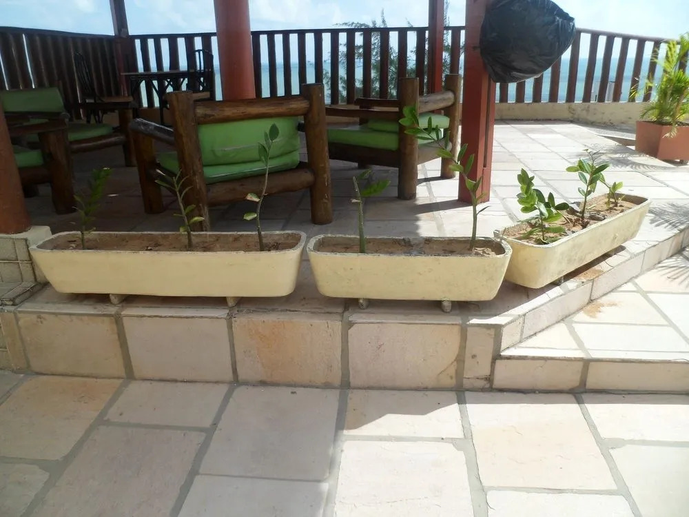 Ponta Negra Palace