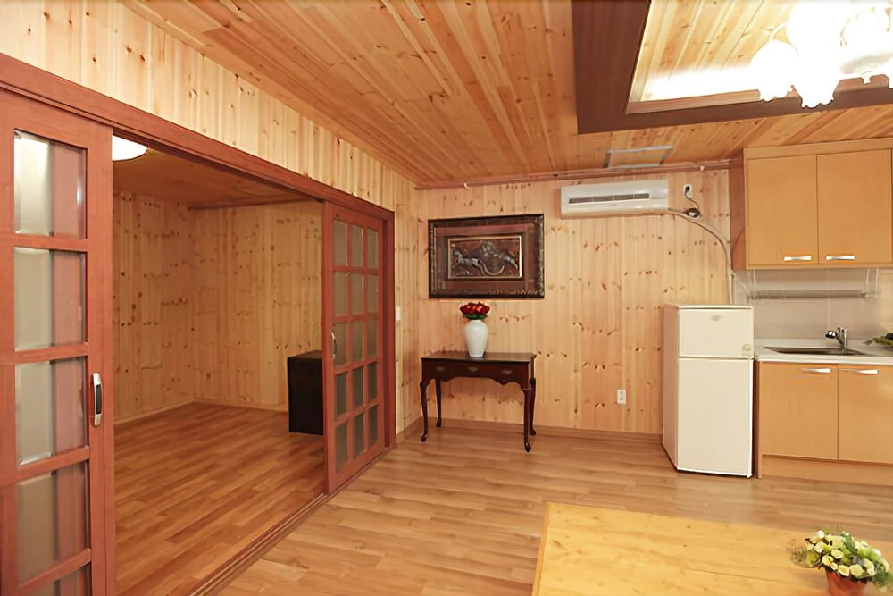 Hongcheon Hometown Spring Pension