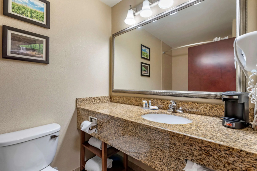 Comfort Inn & Suites Muncie Near University