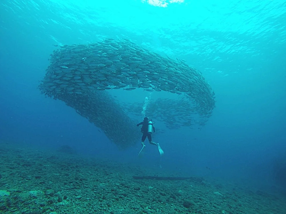 Saipan Marine Dive & Guest House