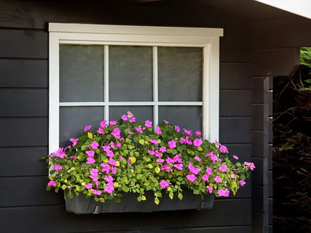 Rustic Holiday Home in Noordwijk near Dunes