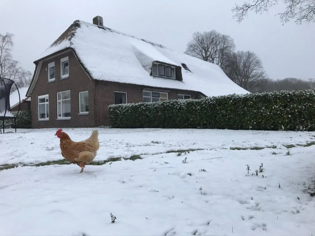 De Deelderij