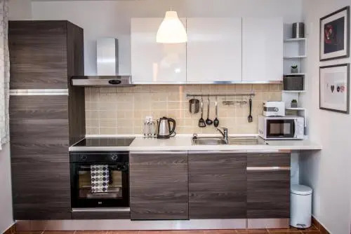 Apartment Roko