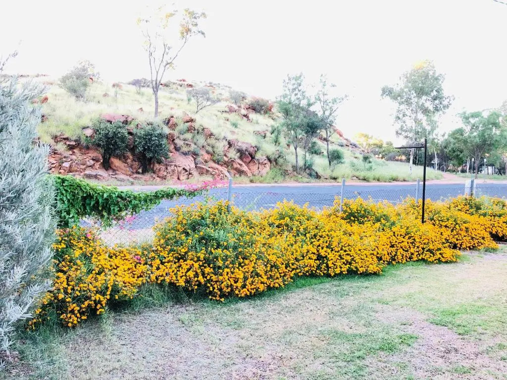 Entire 4 Bedroom pets friendly home in Alice Springs CBD with 2 kitchens 2 bathrooms Toilets and plenty of free secured parking