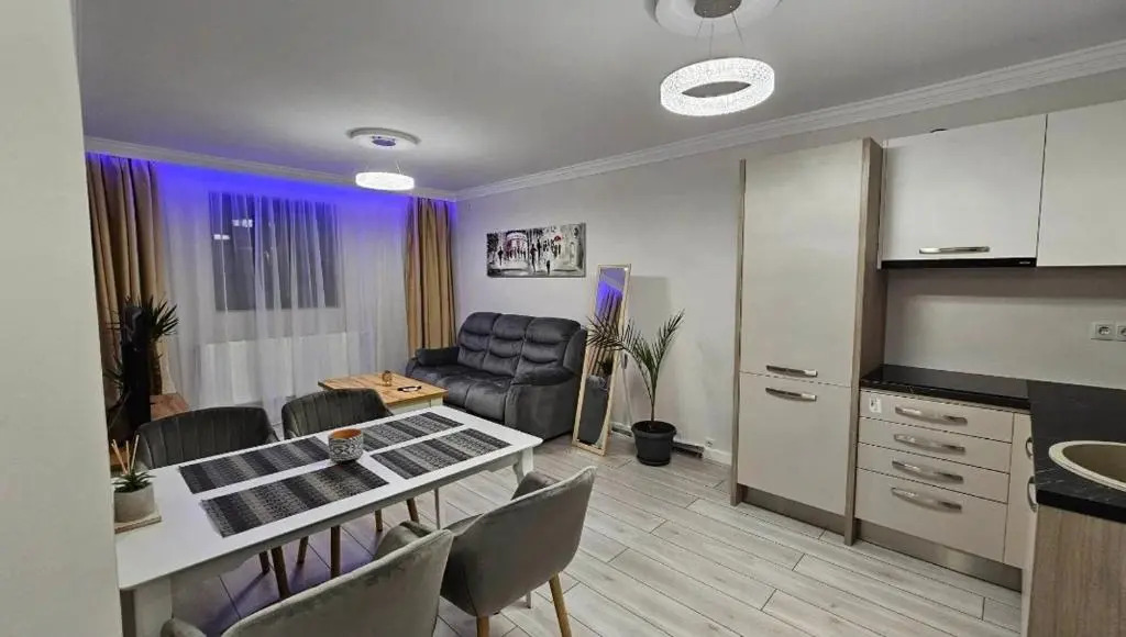 Divine Apartments Oradea Ap 19