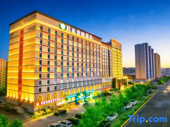 Zhichiqingcheng Hotel (Hohhot Wanda International Exhibition Center)