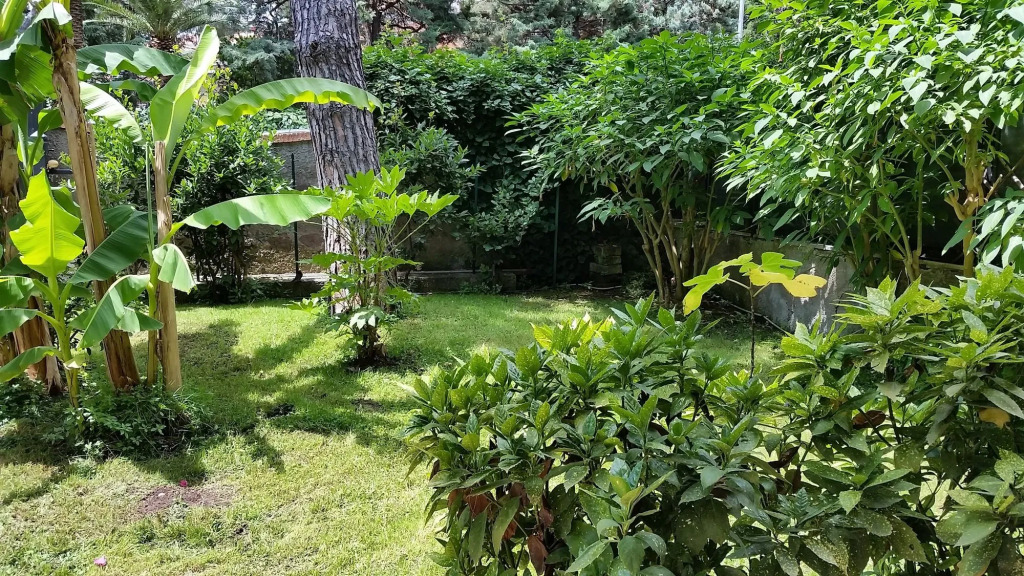 Il Giardino di Giulia 2