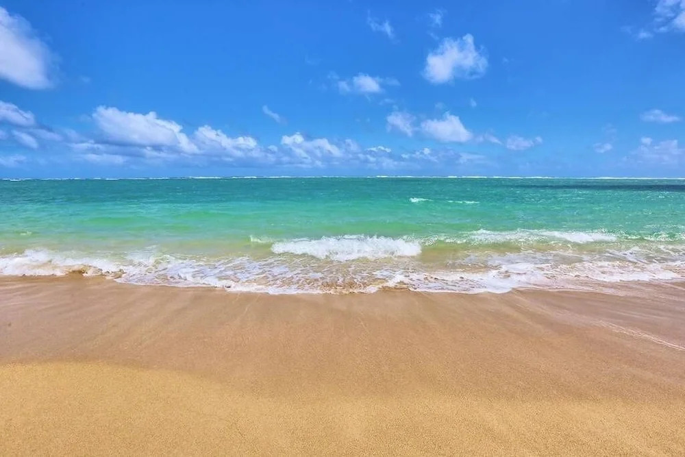 Maui Amazing 1 Br Condos At Kihei Kai Nani 1 Bedroom Condo