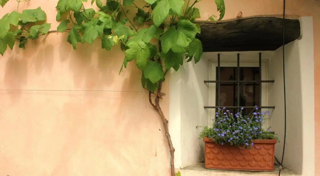 Casa don Bosco