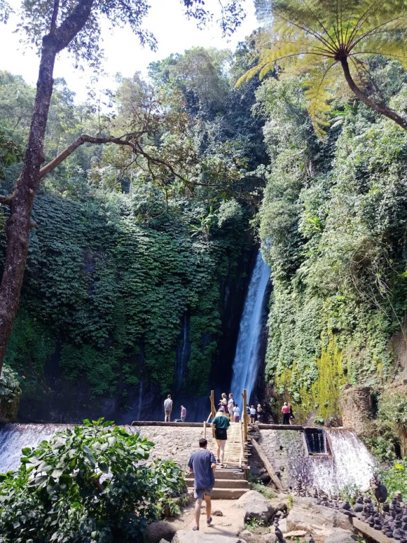 Bedugul Camping