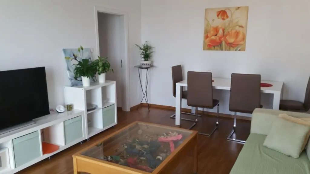Panorama Apartment