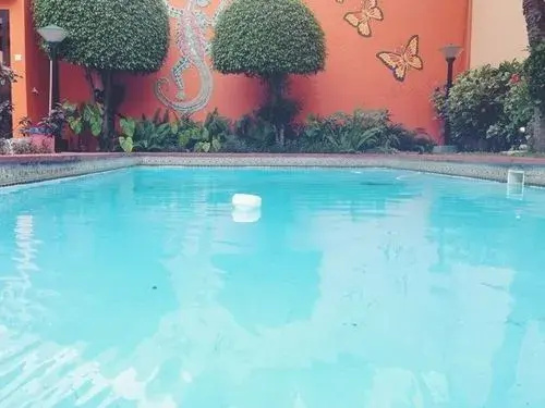 Moringa Hotel