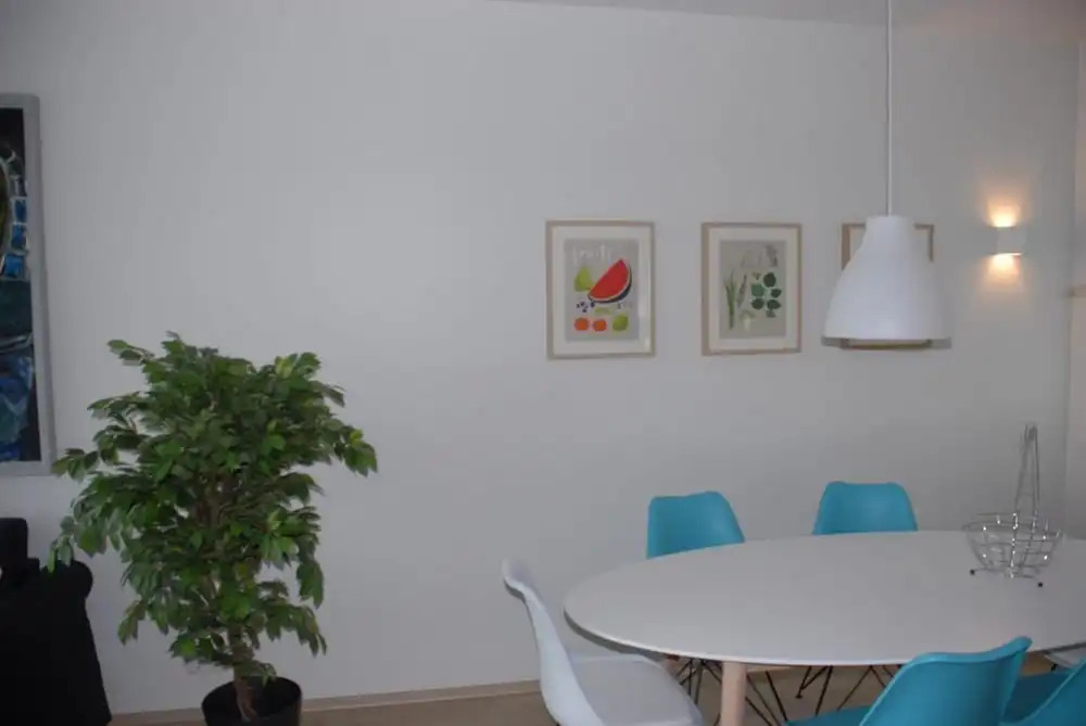 Scandinavian Apartments