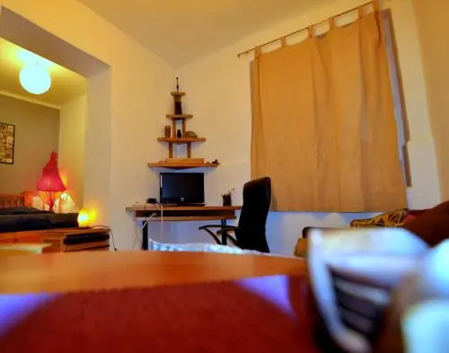 City Oasis Apartment