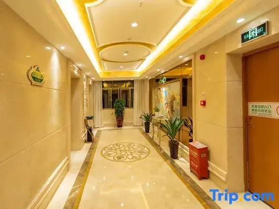 Vienna Hotel (Qidong New Area)