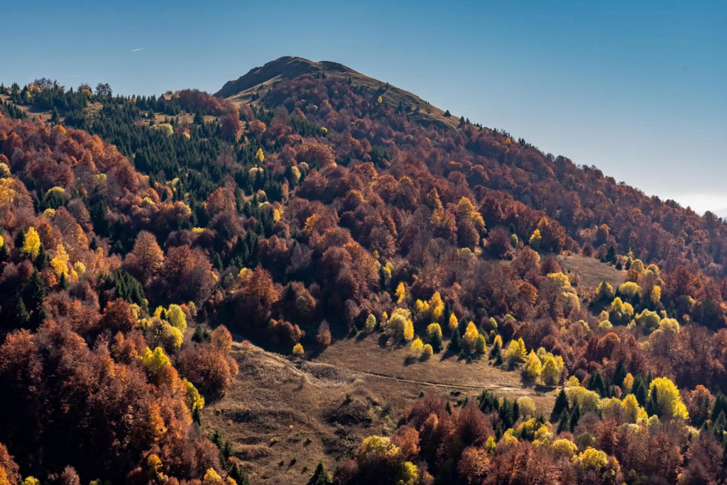 Vista47 Zoned II Kopaonik