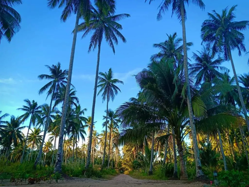 Walk in homestay
