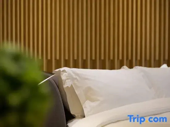 Sfeel Designer Hotel (Chengdu Jiuyan Bridge Shop)