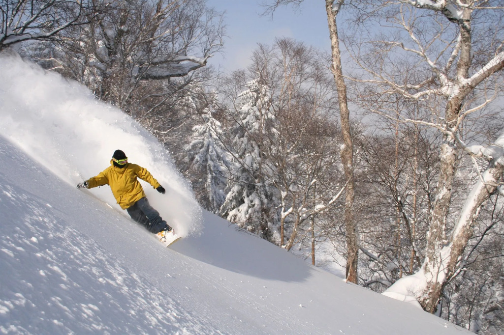 Furano Natulux Hotel
