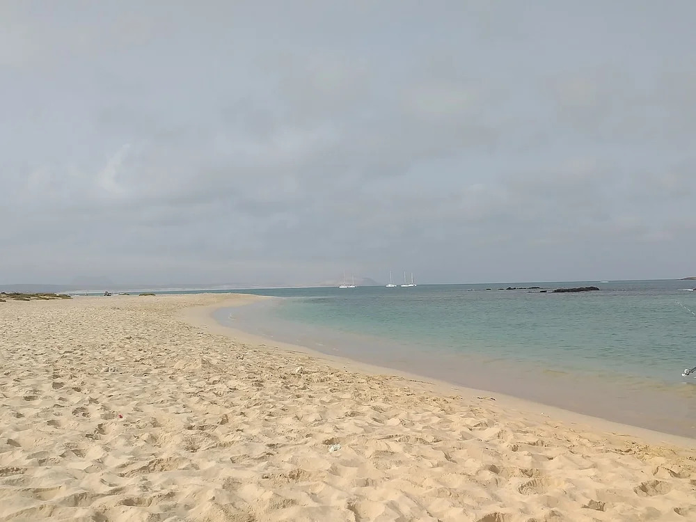 TERRAMAR