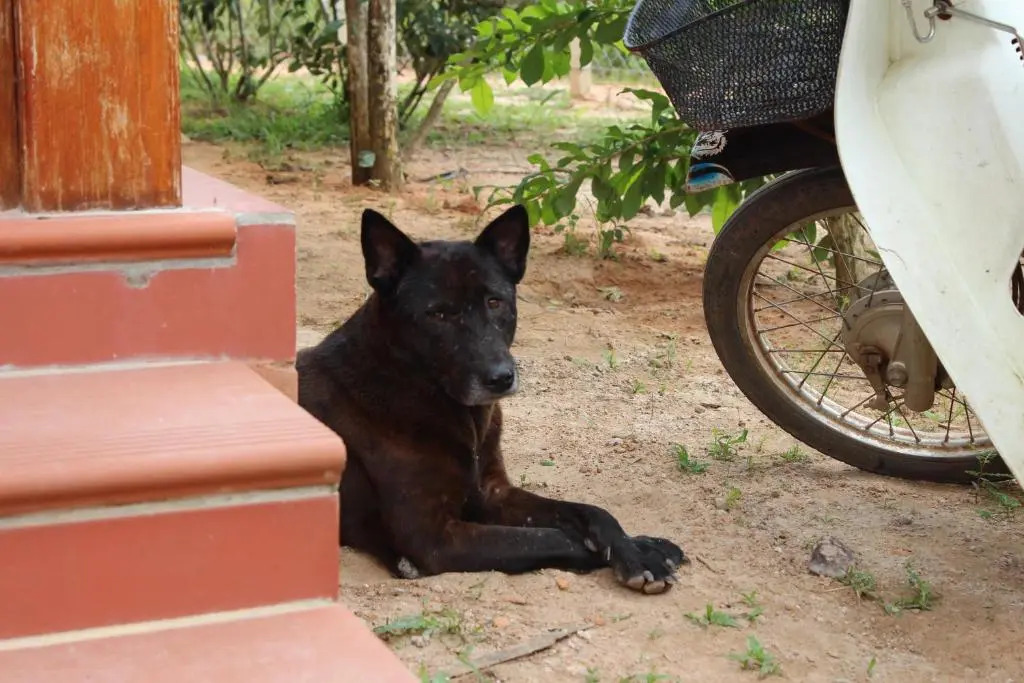 Spring Garden Homestay