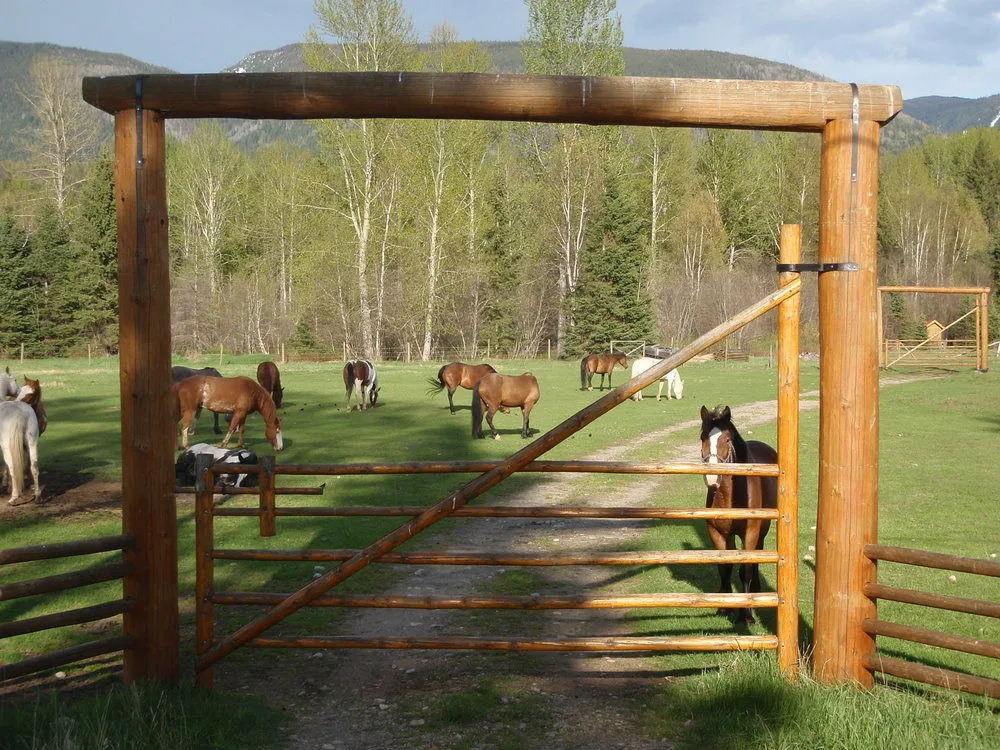 Wells Gray Guest Ranch