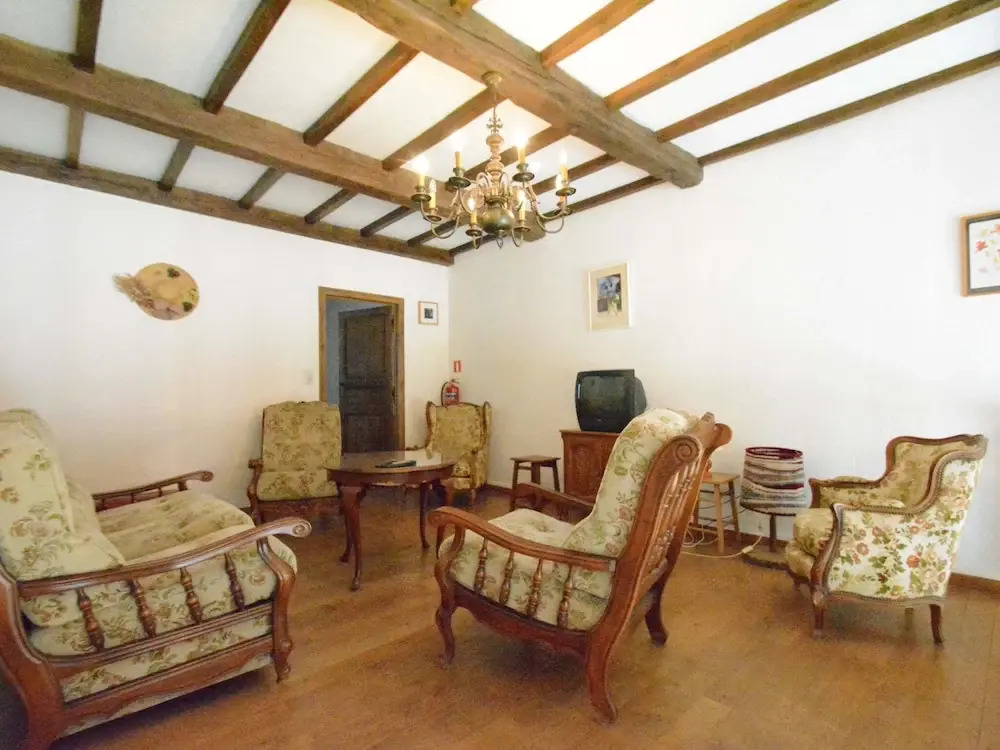Vintage home with pets
