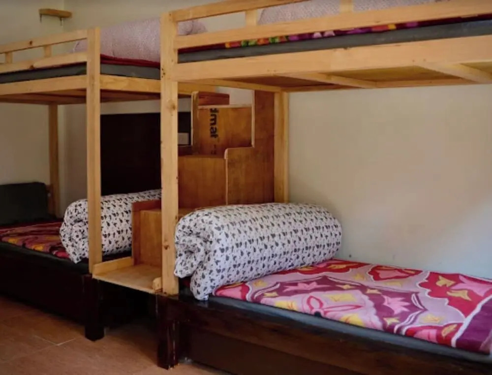 Hostel Abodes Trees Of Heaven