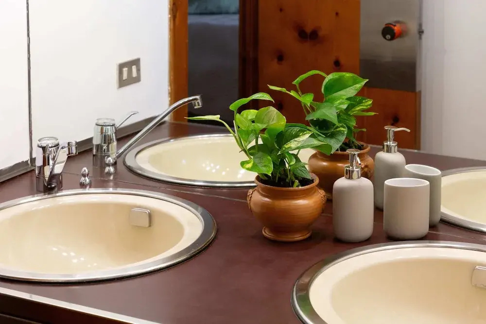 B&B Le foglie dulivo