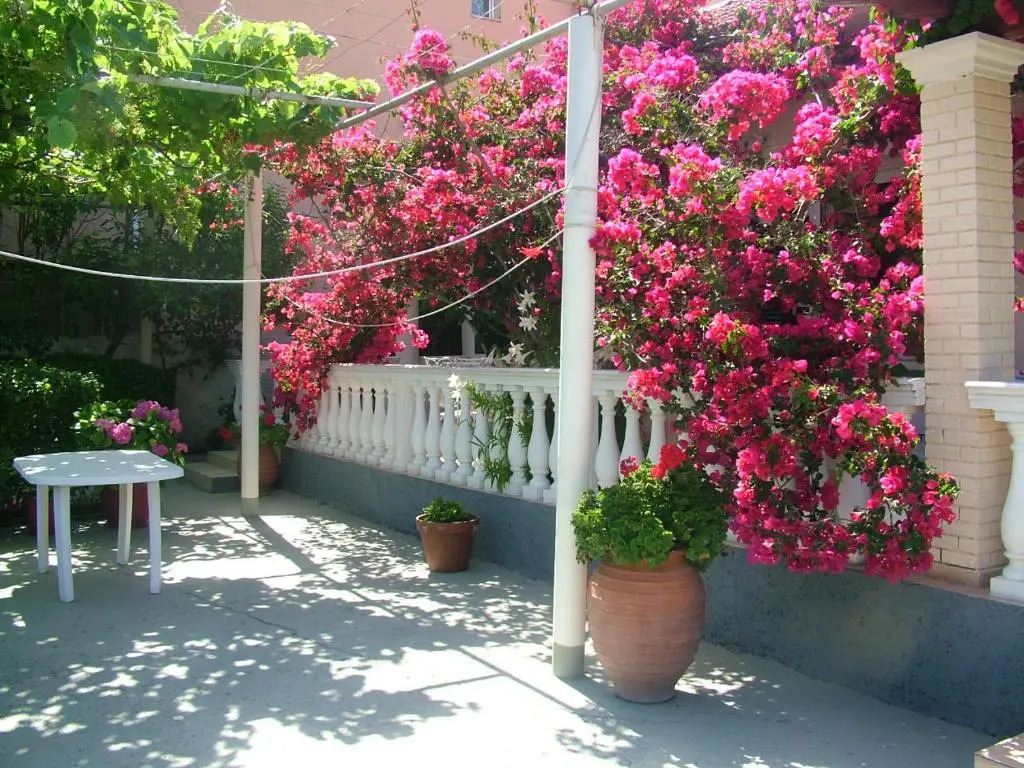 Spiridoula apartments