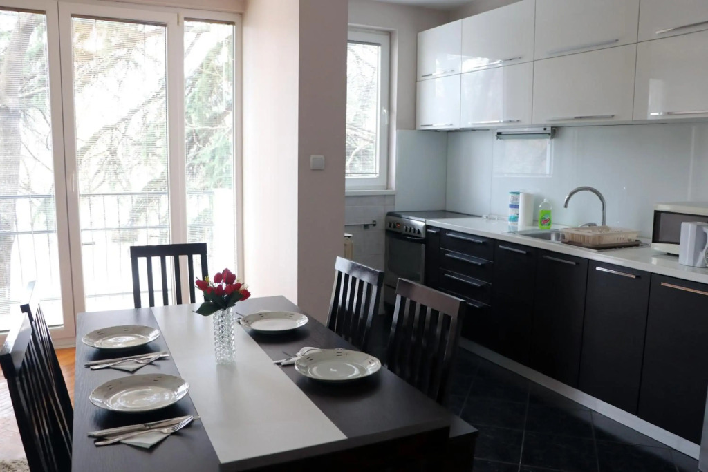 Spacious modern apartment Aerodrom