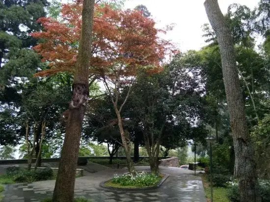 Qiye Shuxia Hotel