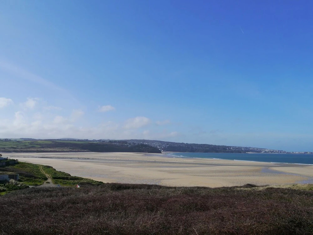 Treleigh