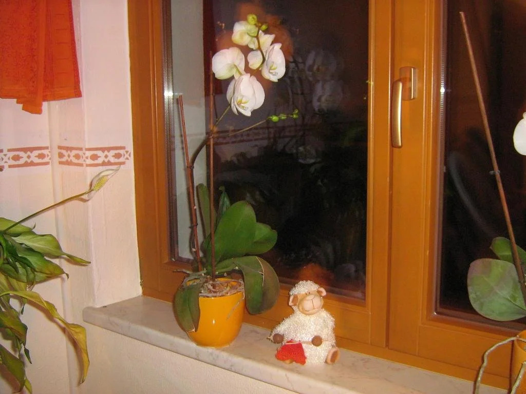 Haus Seppi