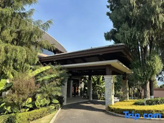 Tianyi Tea Homestay