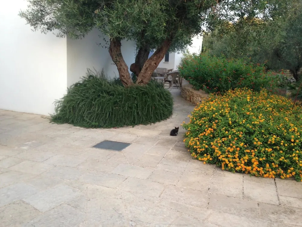 Tenuta De Marco