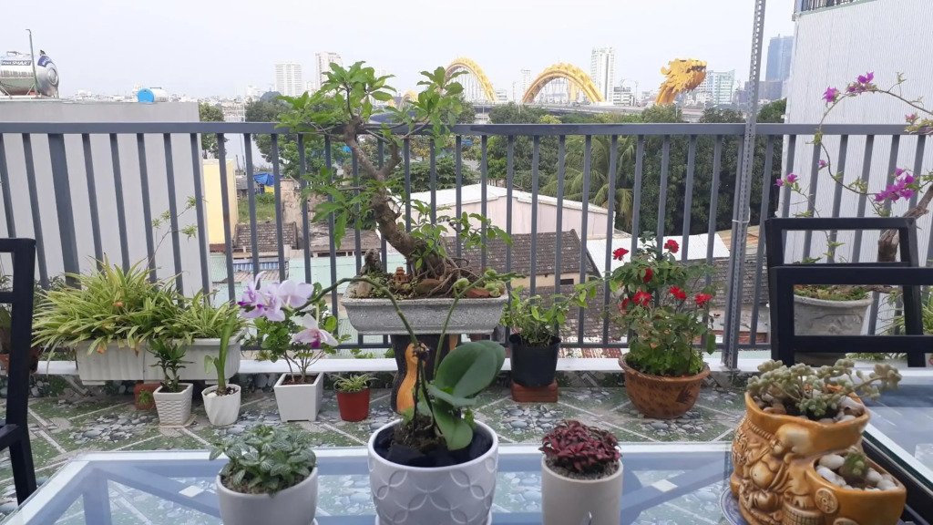 Sena home 3rd-Overlooking Danang Dragon bridge-Han river