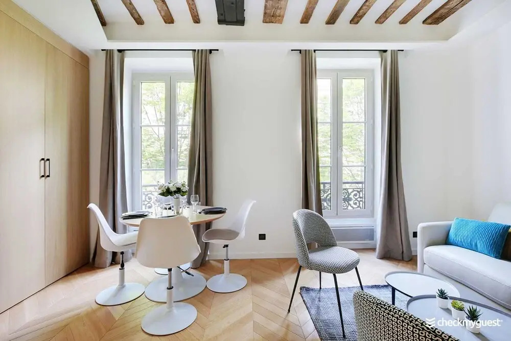 Magnificent Apartment in Le Marais