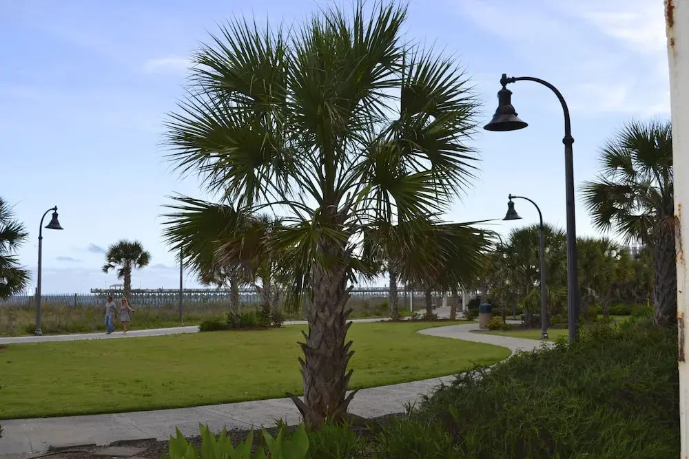Sea Gypsy Inn Oceanfront