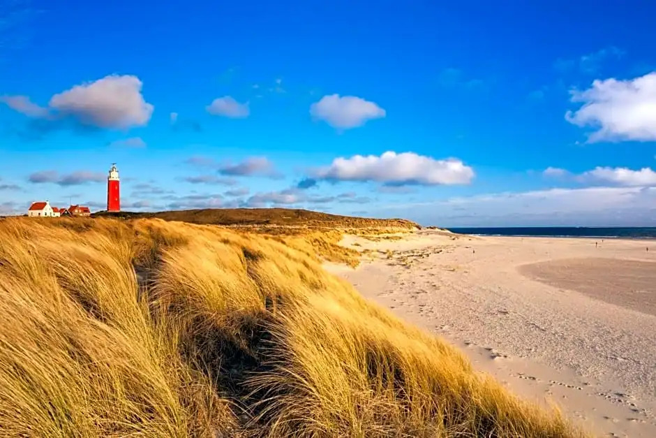 The island life Texel - Wellness