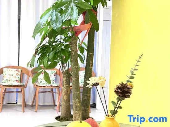 Qingmai Homestay