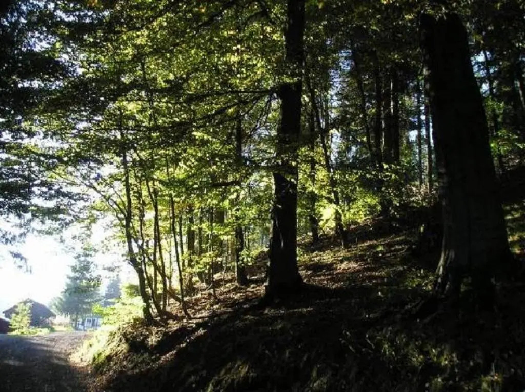 Fichtenweg 33