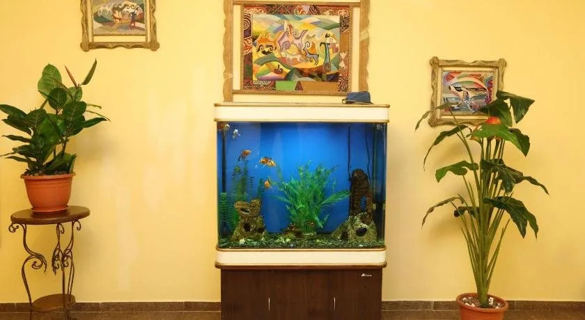 Zhassybi Hotel