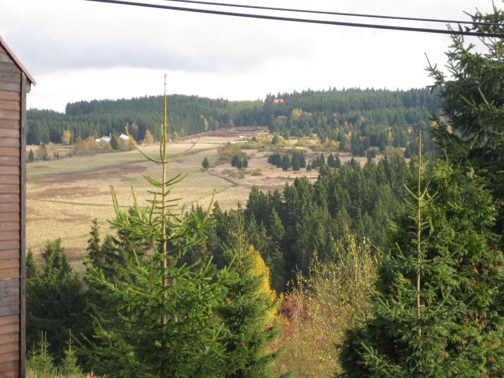 Holiday Home Abertamy near Ski Slopes