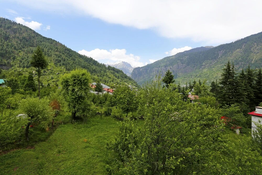 OYO 2884 Delfryn Manali