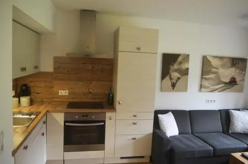 Kitzbhel Apartments element3