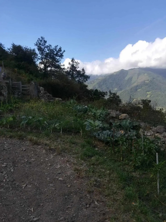Asturias Boho Chic