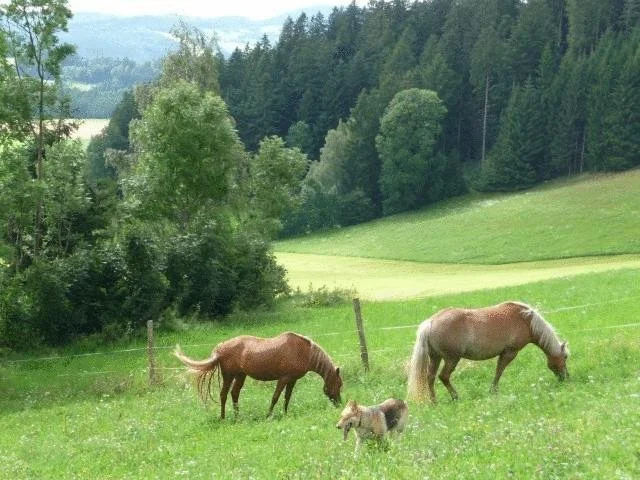 Haus Sanitas