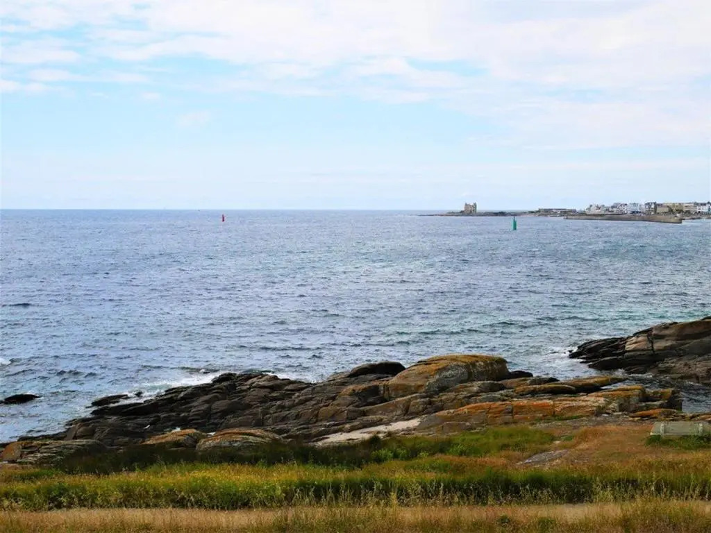 Appartement Quiberon, 1 Pièce, 3 Personnes - Fr-1-478-42
