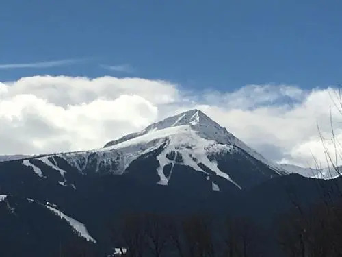 One Bedroom Appartment in Pirin 3